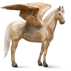 ridepegasus andalusier palomino