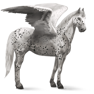 ridepegasus rød