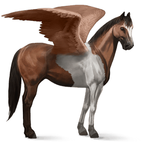 ridepegasus paint horse brun tobiano