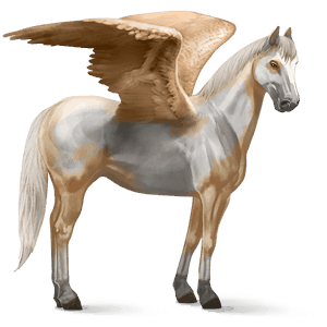 ridepegasus paint horse palomino tovero