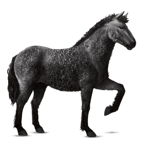 ridehest appaloosa sort leopard