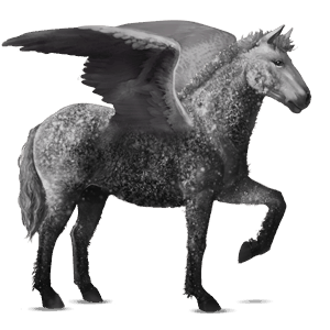 ridepegasus blakket