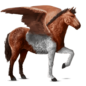 ridepegasus brun