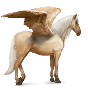 ridepegasus andalusier palomino