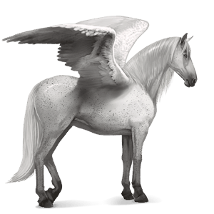 ridepegasus nokota brun