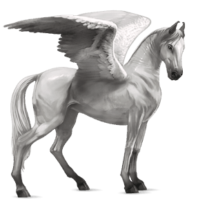 ridepegasus andalusier lysegrå