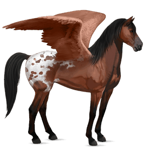 ridepegasus quarter horse brun