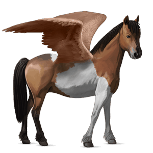 pegasuspony shetlandspony brun tobiano