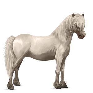 pony cremello