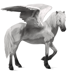 ridepegasus brun