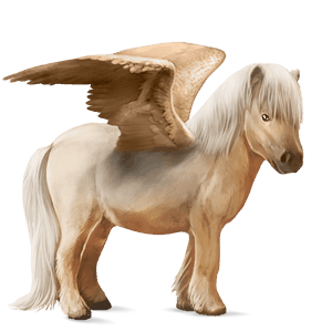 pegasuspony shetlandspony palomino