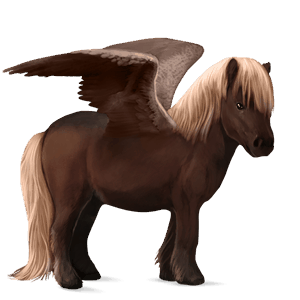 pegasuspony highland pony blakket