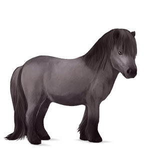 pony shetlandspony musegrå