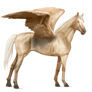 ridepegasus engelsk fuldblod cremello