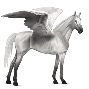 ridepegasus engelsk fuldblod palomino