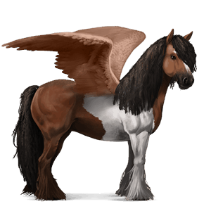 ridepegasus tinker brun tobiano